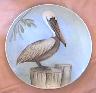 Brown Pelican, 10 inch round plate